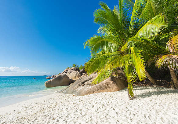 Beautiful stretch of sand in Seychelles