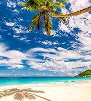 6days Seychelles Package