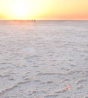 Kutch Vacation Tour Package For 1 Night 2 Days