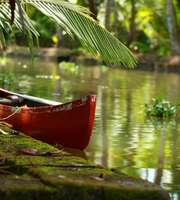 Luxurious Munnar Alleppey Tour Package From Mumbai 
