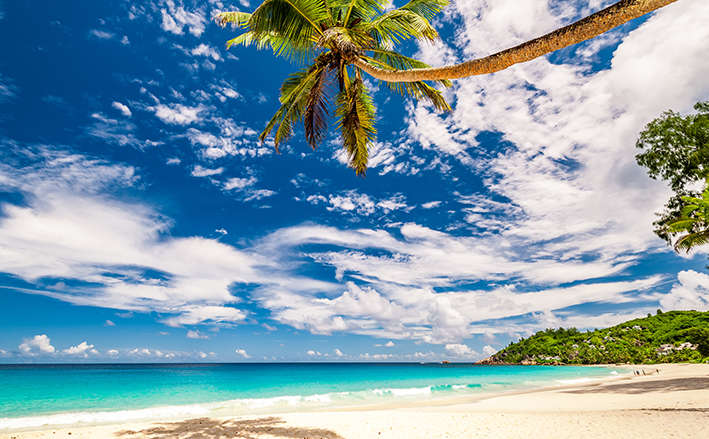 Mesmerizing Seychelles Honeymoon Package