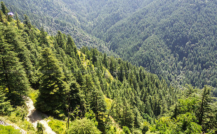 A Family Getaway To The Hills Of Himachal