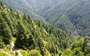 Green Valley in Shimla 