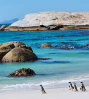 South Africa Beach Tour Package