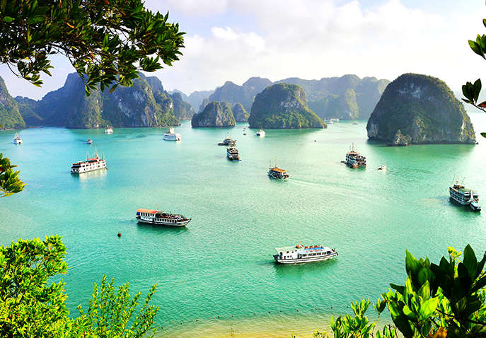 vietnam tour package from delhi with vegetarian food