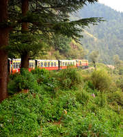 Shimla Tour Package For 2 Days From Delhi