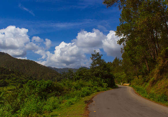 Experience a fascinating tour of Ranikhet and witness the fruit orchards 