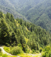 Manali Tour Package From Kannur