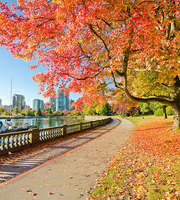 5 Days Tour Package To Canada With Airfare
