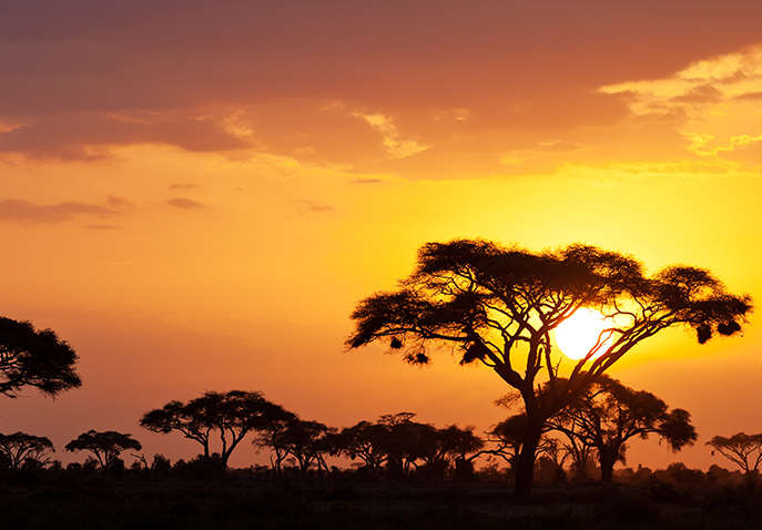 11 Nights 12 Days Tanzania Itinerary