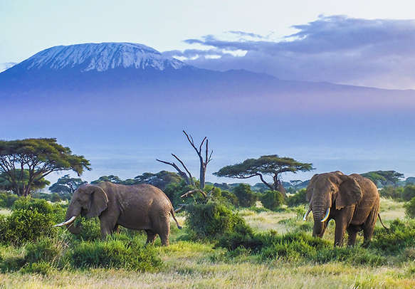 Landscape vie of Tanzania
