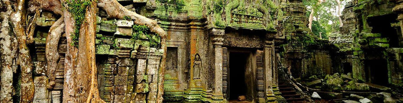 Ta Prohm Temple In Siem Reap