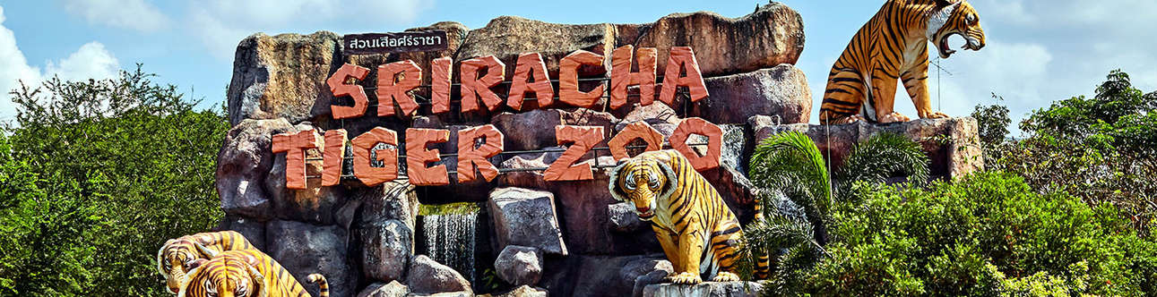 Sriracha Tiger Zoo In Pattaya