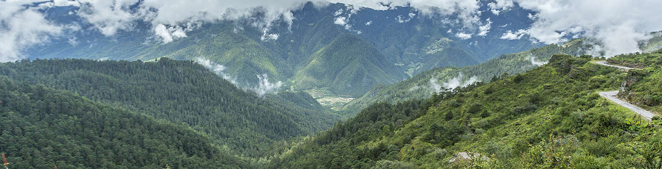 Chele la Pass Trek in Paro | Chele la Pass Trek Paro (Bhutan)