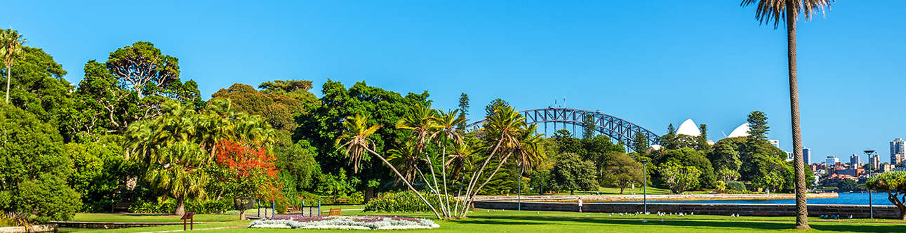 Royal Botanical Garden In Sydney