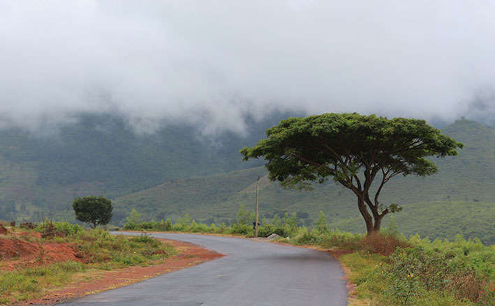 South India Hill Station Tour Package