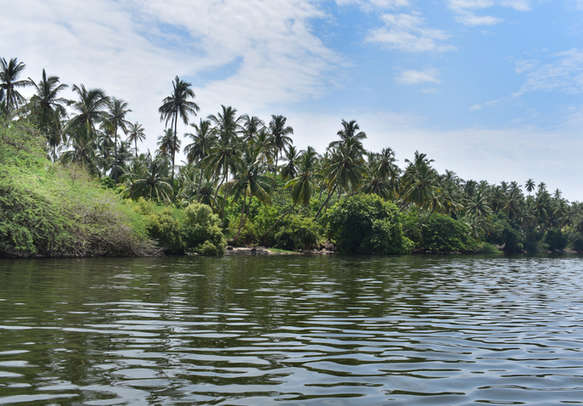 Pondicherry Backwaters