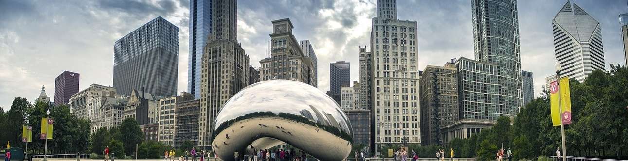 Visit the Cloud Gate In Chicago