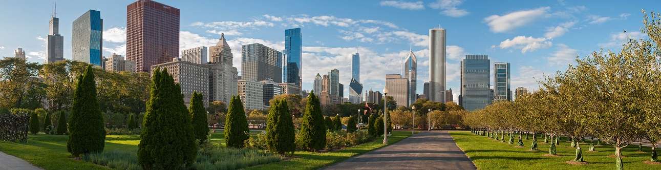 Explore the Millennium Park In Chicago