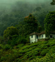 Wayanad Tour Package By Car From Mysore