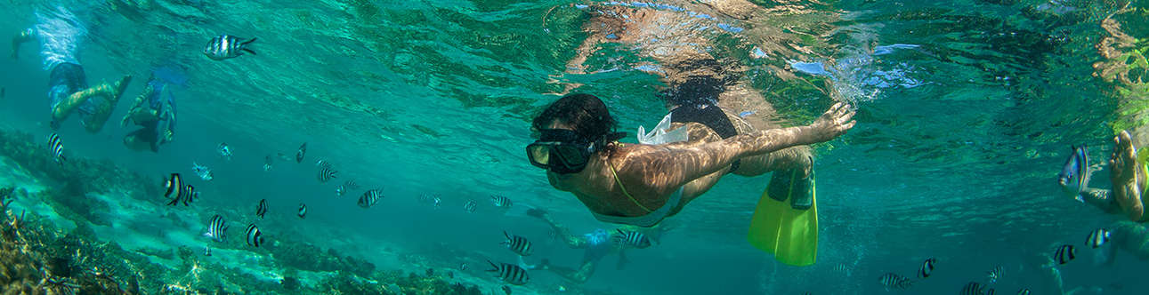 Enjoy snorkeling at your leisure day in Mauritius