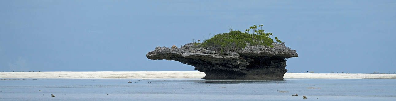 Aldabra Atoll In seychelles