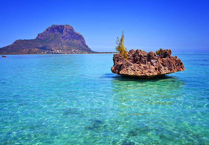 Mauritius Family Tour: A Great Fun