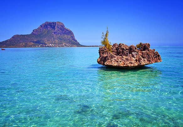 Enjoy admiring the tempting beauty of blue waters splashing against Mauritius landscape