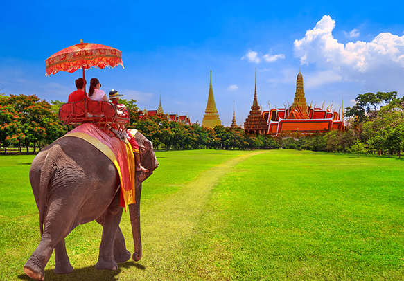 Tourists go on elephants ride