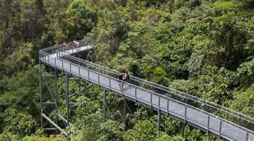 Southern Ridges in Singapore | Southern Ridges Singapore - Vimarsana News