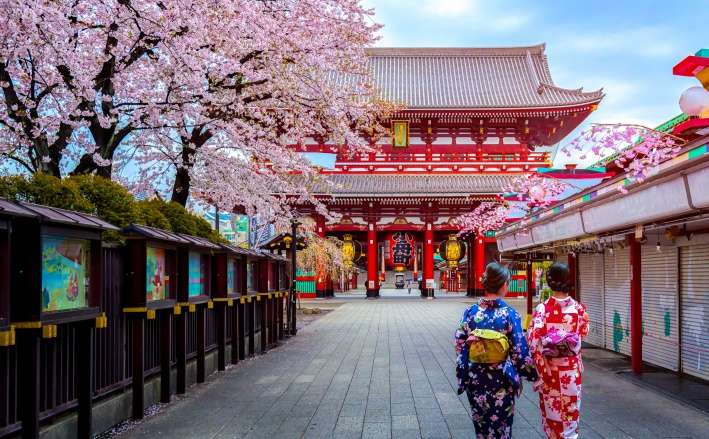 travel packages from india to japan