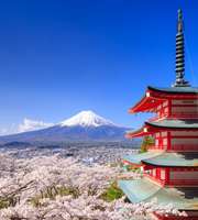 Japan Tour Packages From Delhi