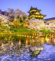 Japan Tour Package For 5 Nights 6 Days