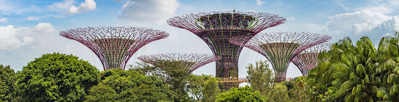 Visit the gorgeous Gardens by the Bay in Singapore