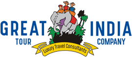 the great india tour company