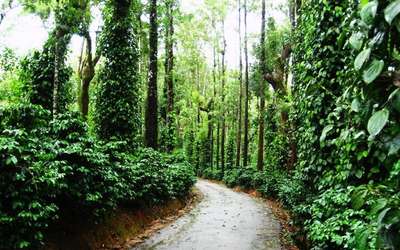 Coorg is amongst the best places to visit in India