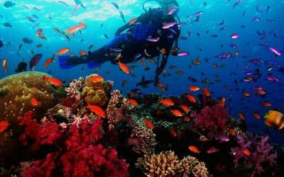 Andaman has to be on your list of places to visit in India