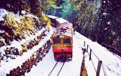 Colorful toy train making its way through the verdant valleys in Shimla
