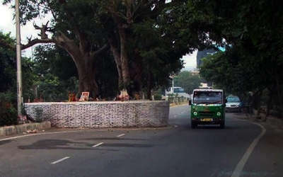 Haunted-Place-in-Delhi-Tree-Near-Dwarka