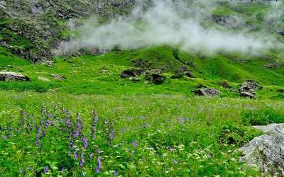 Mist floats over the Valley of Flowers