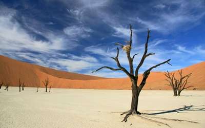 Enormous beauty of Dead Vlei