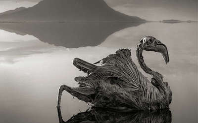 Lake Natron