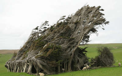 The most beautiful southernmost point of New Zealand