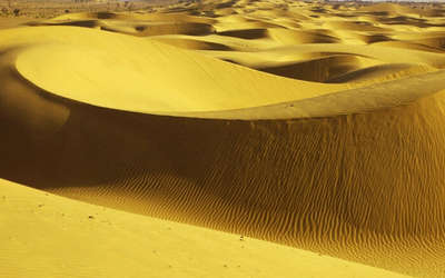 A close view of Sam Sand Dunes in Jaisalmer