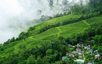 Darjeeling