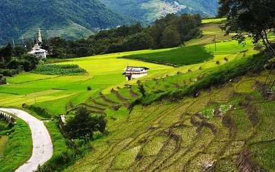 Ziro Valley