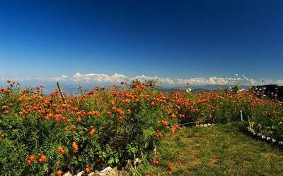 Mukteshwar
