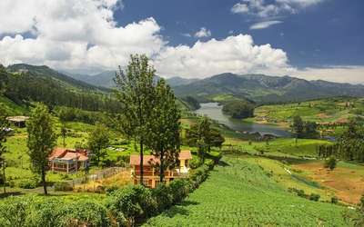 ooty meadows