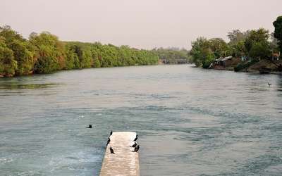 ropar wetland