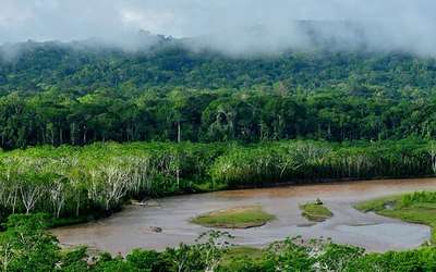 View of National Park